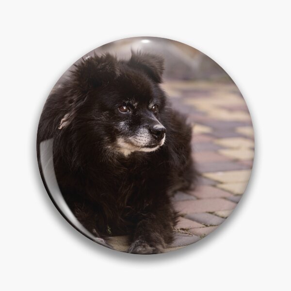 Item preview, Black dog lying in the yard looking up at the sky. designed and sold by RinaZik.