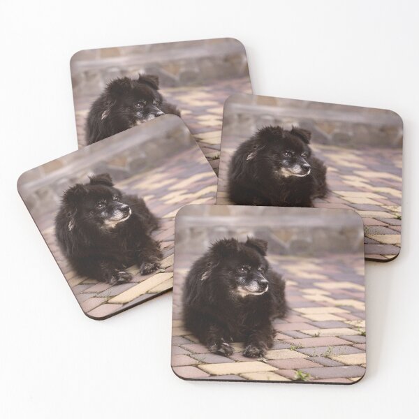 Item preview, Black dog lying in the yard looking up at the sky. designed and sold by RinaZik.