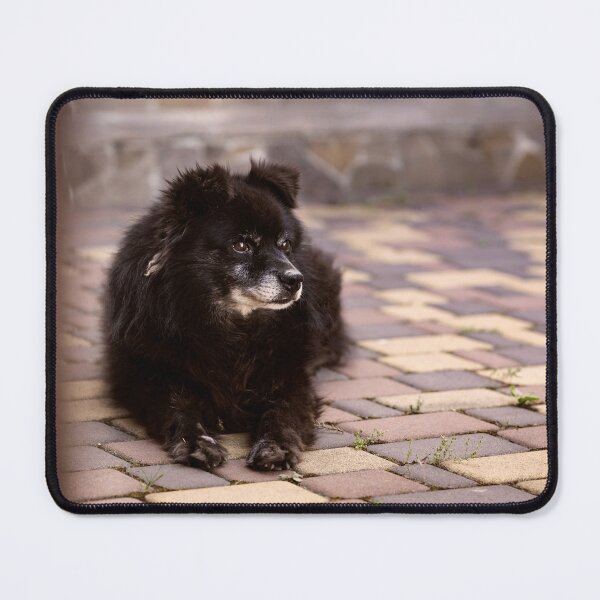 Item preview, Black dog lying in the yard looking up at the sky. designed and sold by RinaZik.