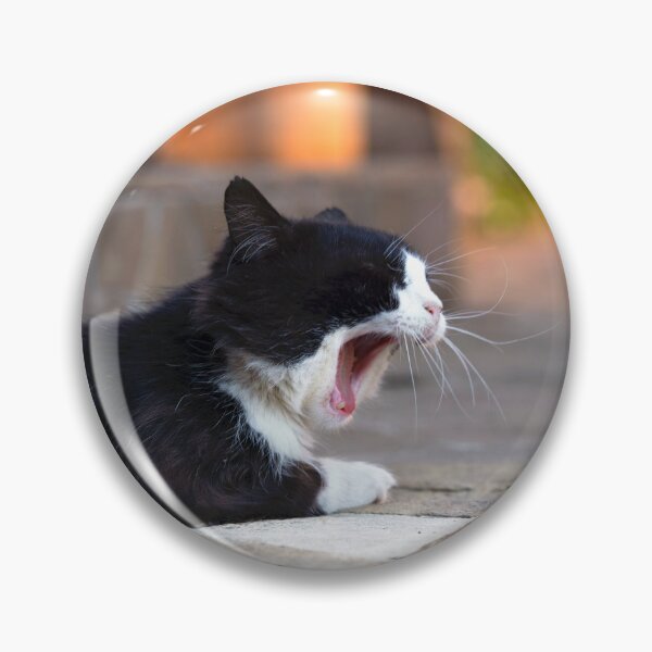Item preview, Yawning cat, warm atmospheric photo in the yard at sunset. designed and sold by RinaZik.