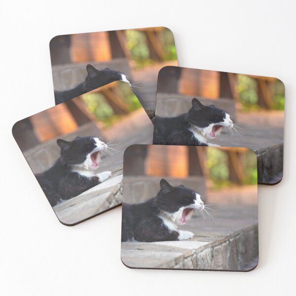 Item preview, Yawning cat, warm atmospheric photo in the yard at sunset. designed and sold by RinaZik.