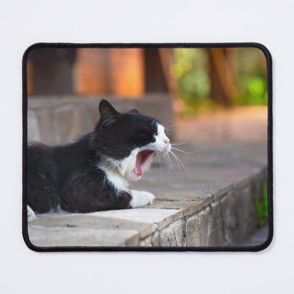 Item preview, Yawning cat, warm atmospheric photo in the yard at sunset. designed and sold by RinaZik.