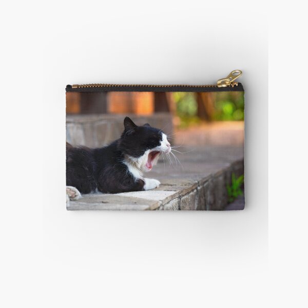 Item preview, Yawning cat, warm atmospheric photo in the yard at sunset. designed and sold by RinaZik.