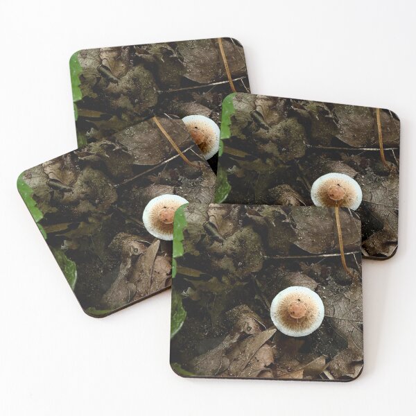Item preview, Top-Down Forest Mushroom designed and sold by Dynahgrl.