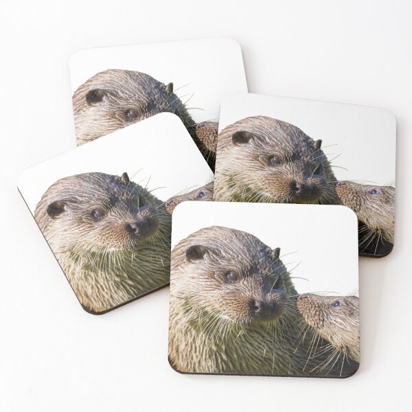 Item preview, Otterly adorable duo wildlife photo designed and sold by Artisanjan.