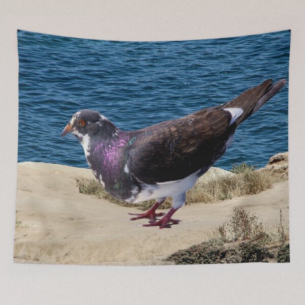 Item preview, Pretty Bird By the Sea designed and sold by heatherfriedman.