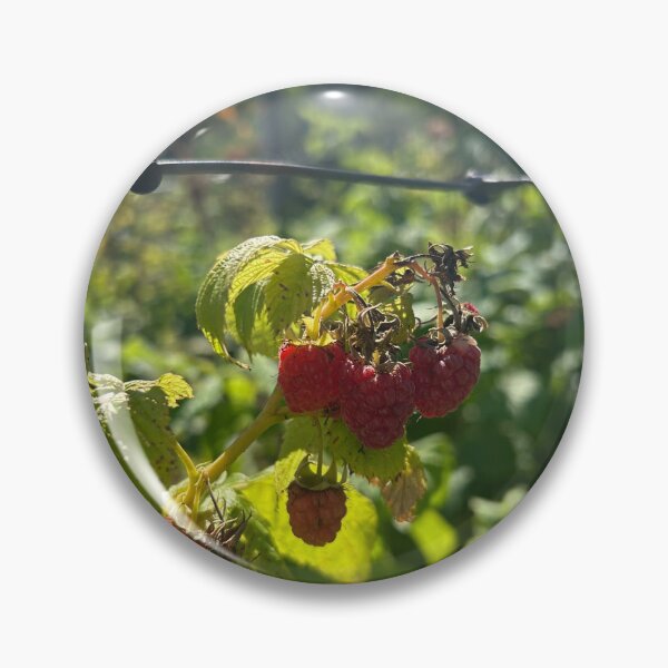 Item preview, Raspberries  designed and sold by Lauracolleen3.