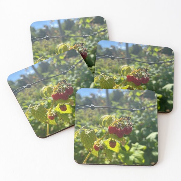 Item preview, Raspberries  designed and sold by Lauracolleen3.