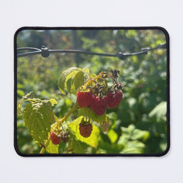 Item preview, Raspberries  designed and sold by Lauracolleen3.