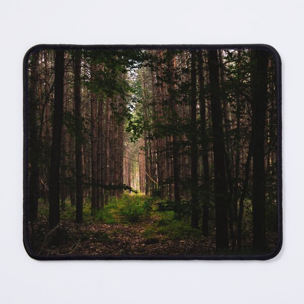 Item preview, Pathway Through Dense Forest Illuminated by Sunlight designed and sold by minstr3l.
