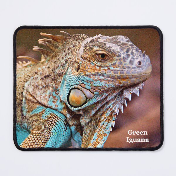 Item preview, Green Iguana designed and sold by RJKYTE1970.