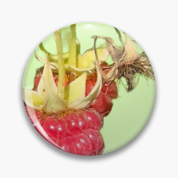 Item preview, Frambuesas designed and sold by Lauracolleen3.
