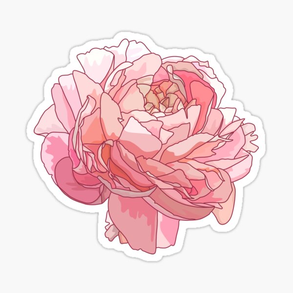 Item preview, Pink Peony designed and sold by Hillow Illustration.