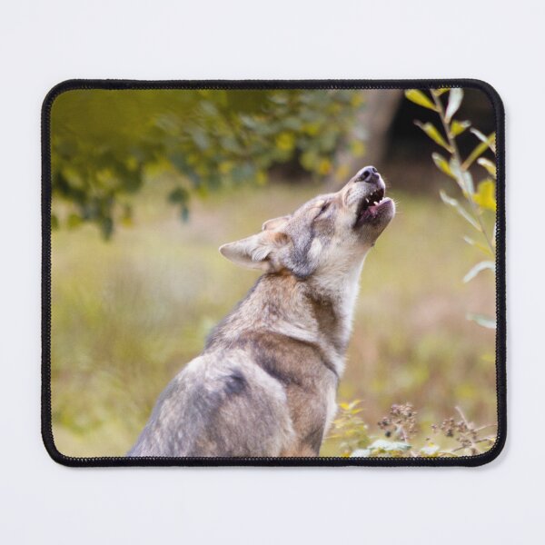 Item preview, Jeune loup gris designed and sold by Delphine Comte.