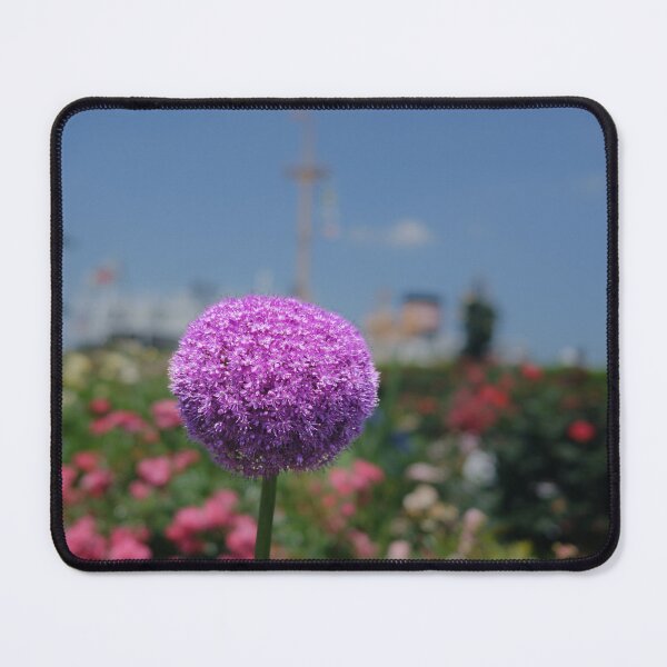 Item preview, Giant Leek among Roses in Yamashita Park designed and sold by Pix4Japan.