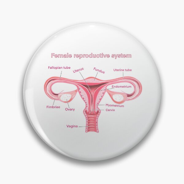 Item preview, female reproductive system designed and sold by Anastasiiass.