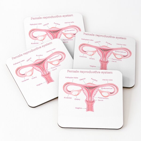 Item preview, female reproductive system designed and sold by Anastasiiass.
