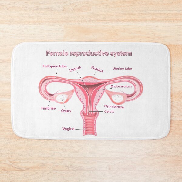 Item preview, female reproductive system designed and sold by Anastasiiass.