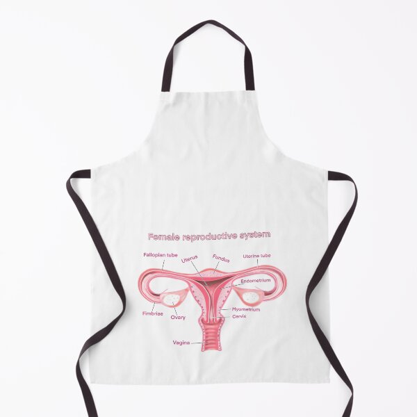 Item preview, female reproductive system designed and sold by Anastasiiass.