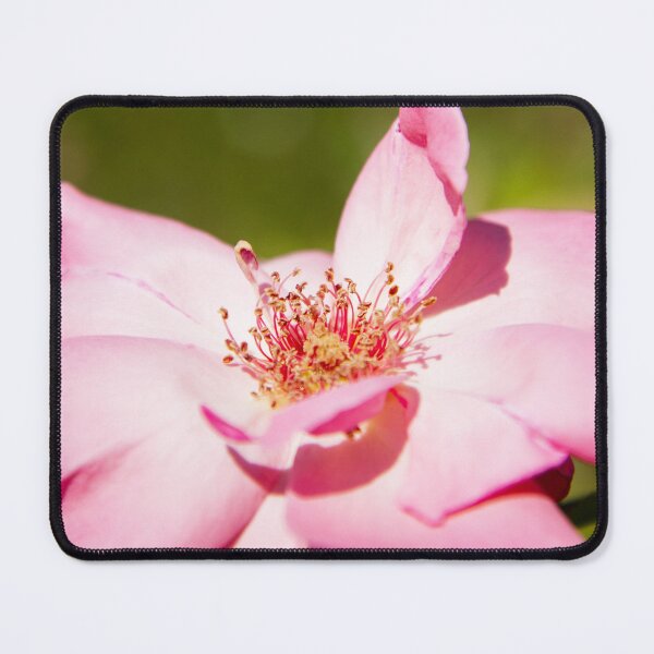 Item preview, Up close designed and sold by Delphine Comte.