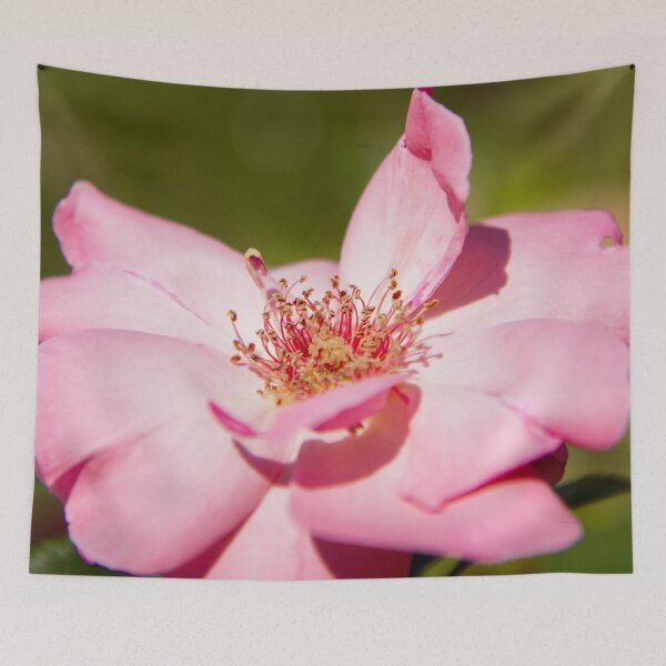 Item preview, Up close designed and sold by Delphine Comte.