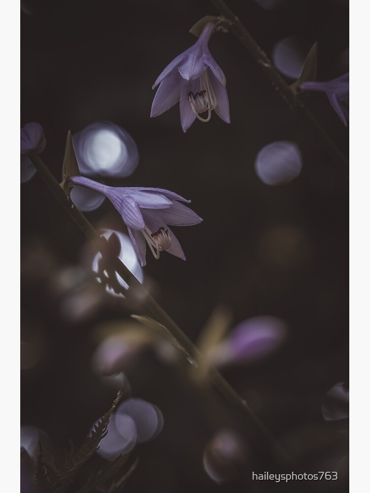 Thumbnail 3 of 3, Poster, Moody Hosta's  designed and sold by hayhay4209.