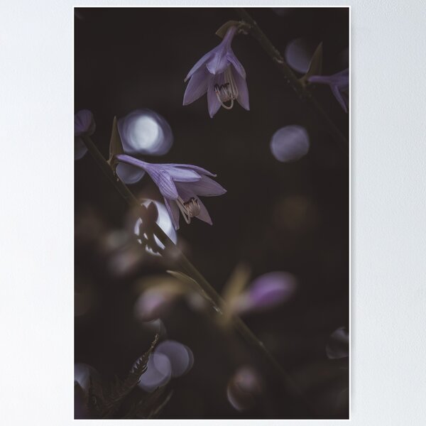 Item preview, Moody Hosta's  designed and sold by haileysphotos763.