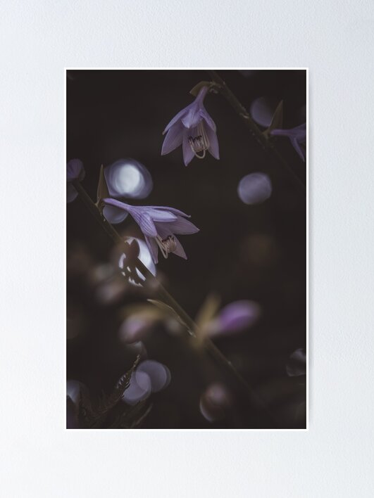Thumbnail 1 of 3, Poster, Moody Hosta's  designed and sold by hayhay4209.
