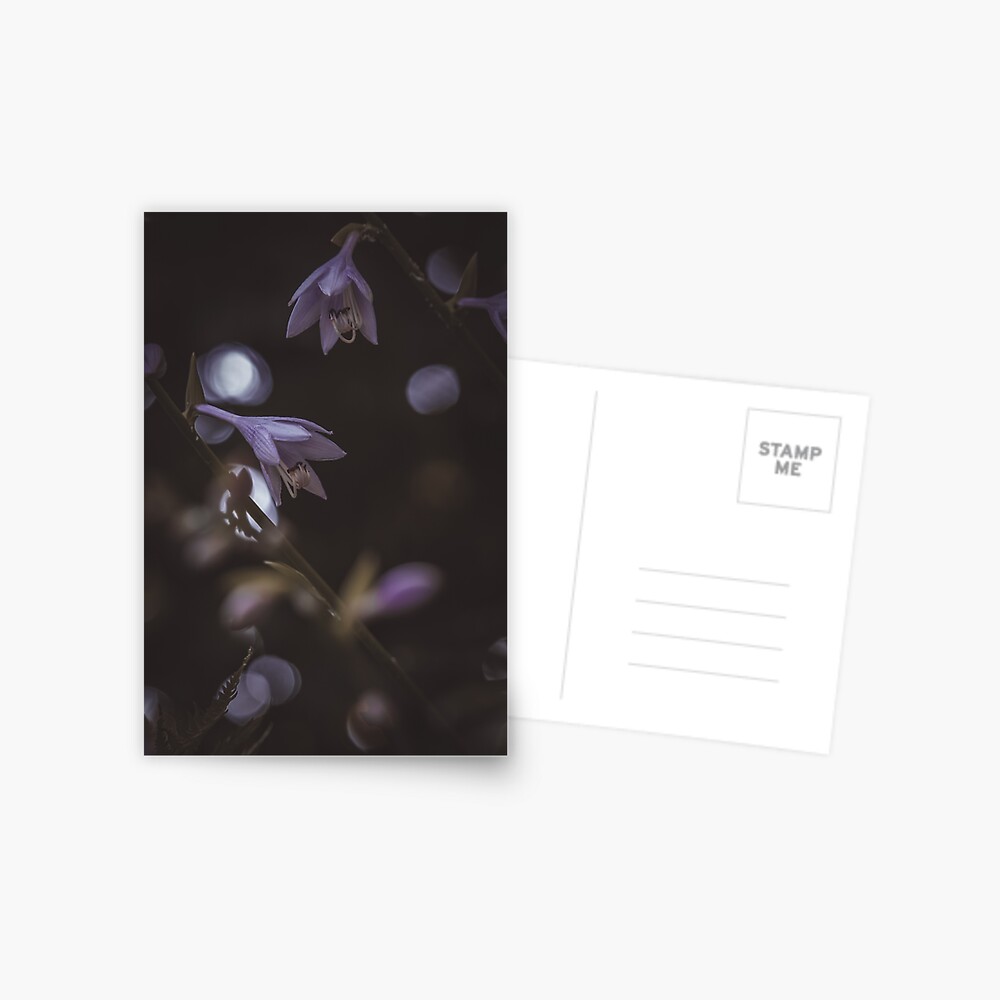 Item preview, Postcard designed and sold by hayhay4209.