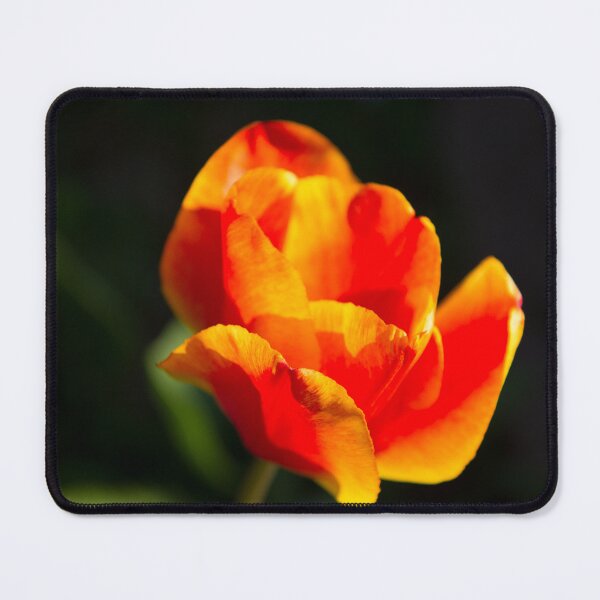 Item preview, Orange vibes designed and sold by Delphine Comte.
