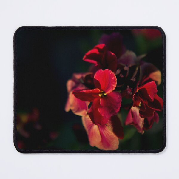 Item preview, Merisi designed and sold by Delphine Comte.