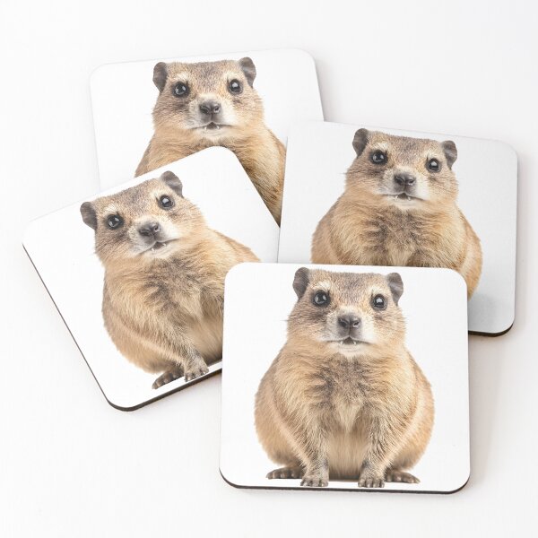 Item preview, hyraks designed and sold by ArtfulPlay.