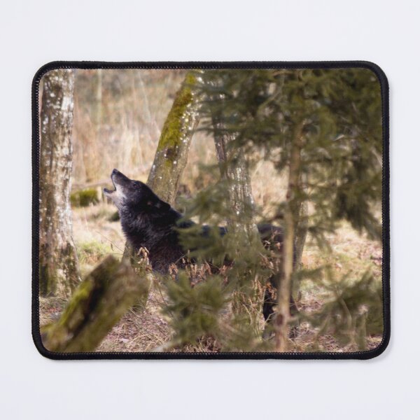 Item preview, Timber designed and sold by Delphine Comte.