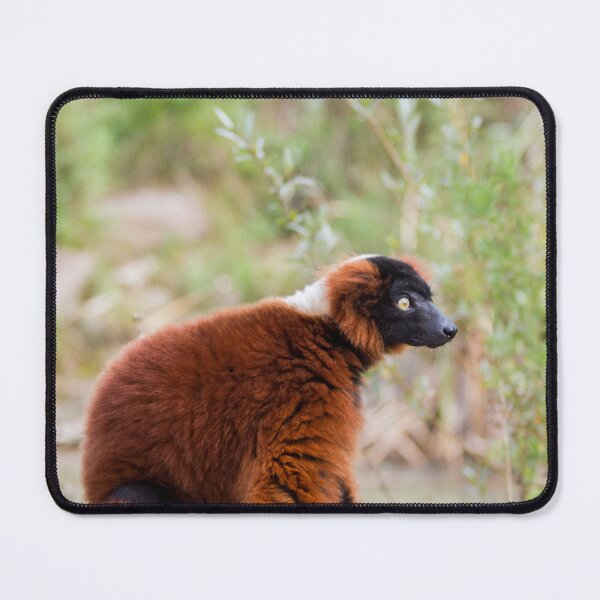 Item preview, Contemplative designed and sold by Delphine Comte.