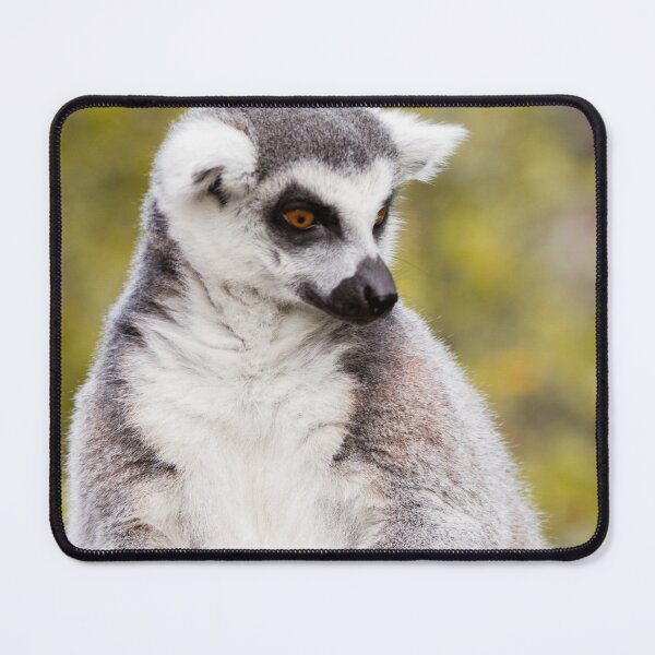 Item preview, Wisdom designed and sold by Delphine Comte.