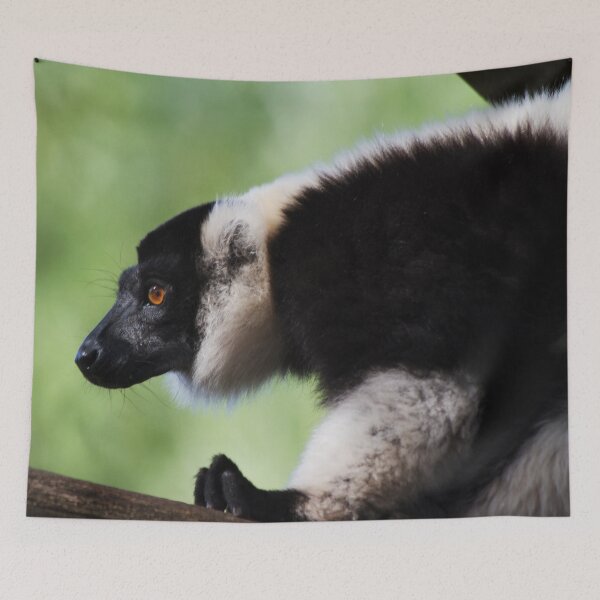 Item preview, Varecia Variegata II designed and sold by Delphine Comte.