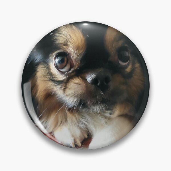 Item preview,  Fotografado com amor, para quem vive de carinho e café. designed and sold by 8807A5.