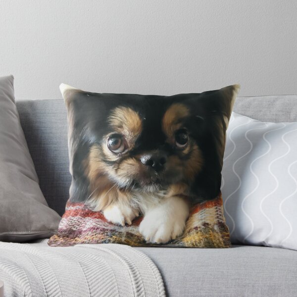 Item preview,  Fotografado com amor, para quem vive de carinho e café. designed and sold by 8807A5.