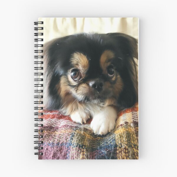 Item preview,  Fotografado com amor, para quem vive de carinho e café. designed and sold by 8807A5.