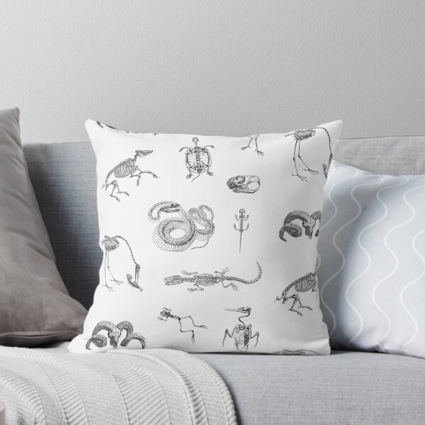 Item preview, Skeletons - Anatomy - Pencil Drawings - Vintage Illustrations | Collection designed and sold by Adams-Lilith.