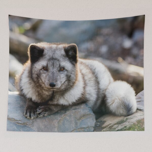 Item preview, Vulpes Lagopus designed and sold by Delphine Comte.