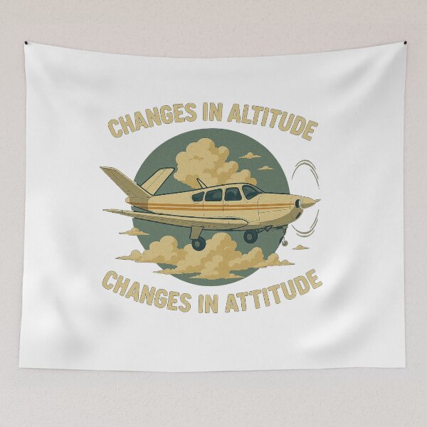 Item preview, Bonanza V-Tail - Changes in Altitude, Changes in Attitude designed and sold by Bob Zhurunkle.