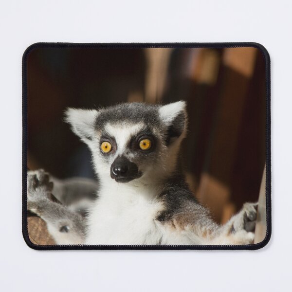 Item preview, Lemur Catta designed and sold by Delphine Comte.