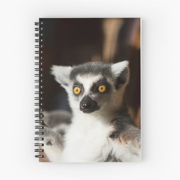 Item preview, Lemur Catta designed and sold by Delphine Comte.