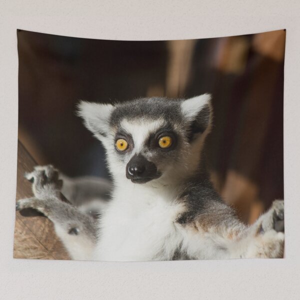 Item preview, Lemur Catta designed and sold by Delphine Comte.