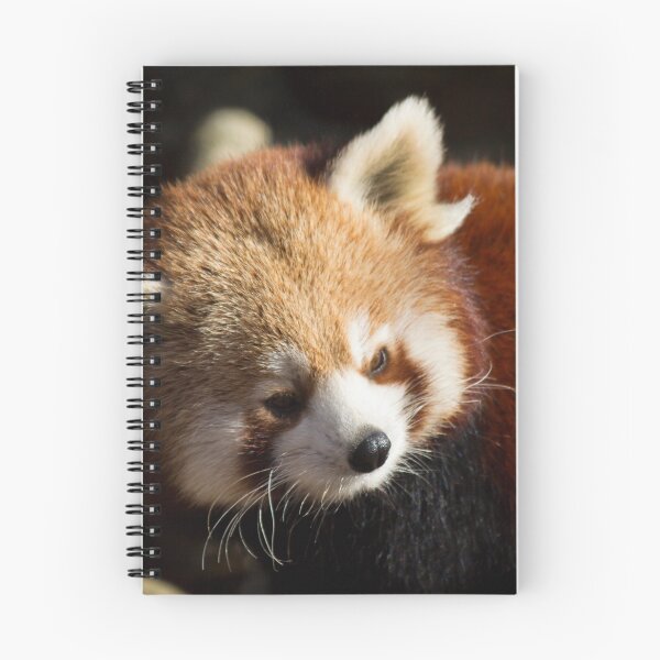 Item preview, Ailurus Fulgens designed and sold by Delphine Comte.