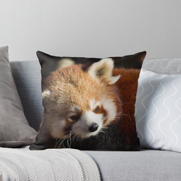 Item preview, Ailurus Fulgens designed and sold by Delphine Comte.