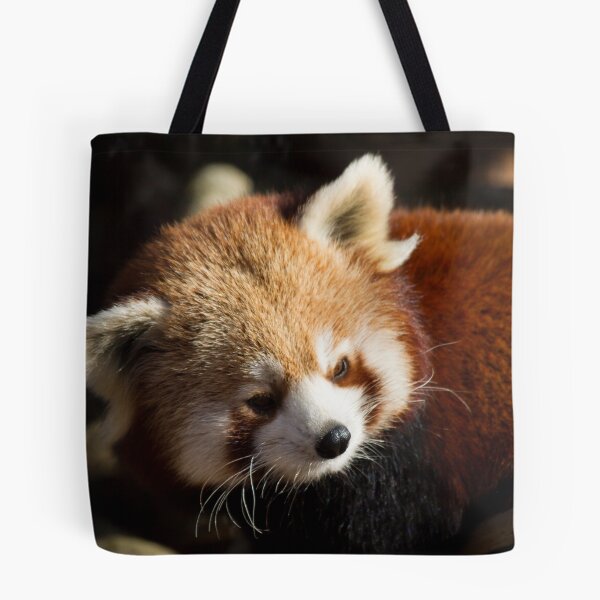Item preview, Ailurus Fulgens designed and sold by Delphine Comte.