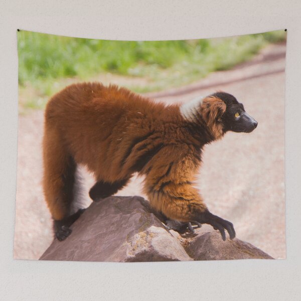 Item preview, Varecia Rubra designed and sold by Delphine Comte.