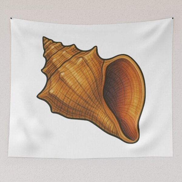 Item preview, Conch Shell Drawing – Tropical Spiral Shell Ocean Design designed and sold by Vendeloc.